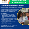 Caribbean Energy Data Collection Internship 2025  